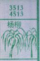 杨柳