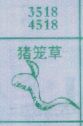 猪笼草