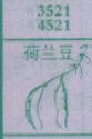 荷兰豆