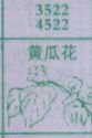 黄瓜花