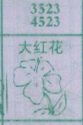大红花