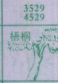 梧桐