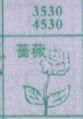 蔷薇