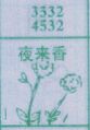 夜来香