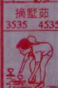 摘墅茹