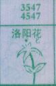 洛阳花
