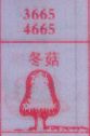 冬菇