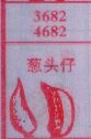 葱头仔
