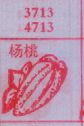 杨桃
