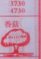 香菇