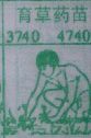 育草药苗