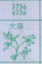 大麻