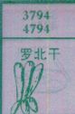 萝卜干