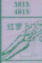 红萝卜