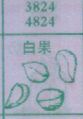 白果