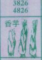 香芋
