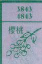 樱桃