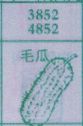 毛瓜