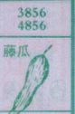 藤瓜