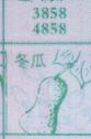 冬瓜