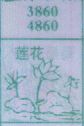 莲花