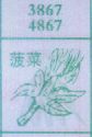 菠菜