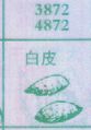 白皮