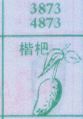 枇杷