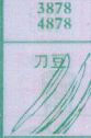 刀豆
