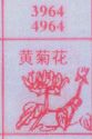 黄菊花