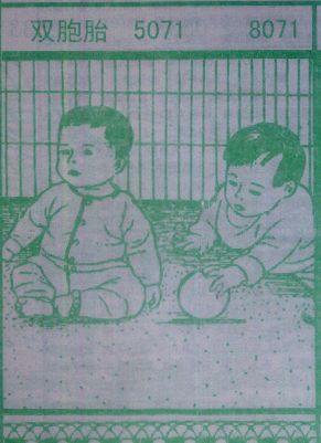 双胞胎