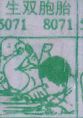 生双胞胎