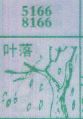 叶落