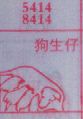 狗生仔