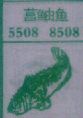 菖鲉鱼