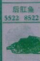 后肛鱼