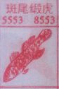 斑尾缎虎