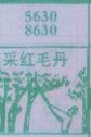 采红毛丹
