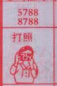 打照