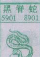 黑脊蛇