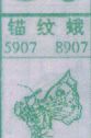 锚纹蛾