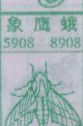 象鹰蛾