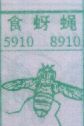 食蚜蝇
