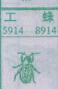 工蜂