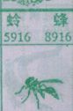 蛉蜂