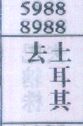 去土耳其