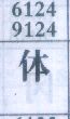 体
