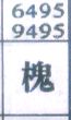 槐