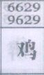 鸡