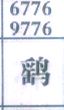 鹞